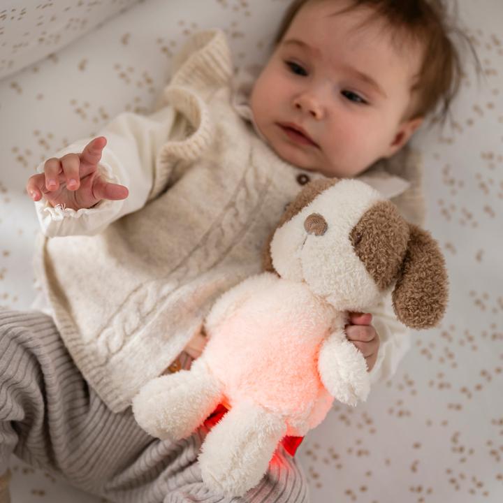 Produktbild Nattou Teddy Mini Hund