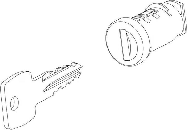 Thule Cylinder + Steel Key N238