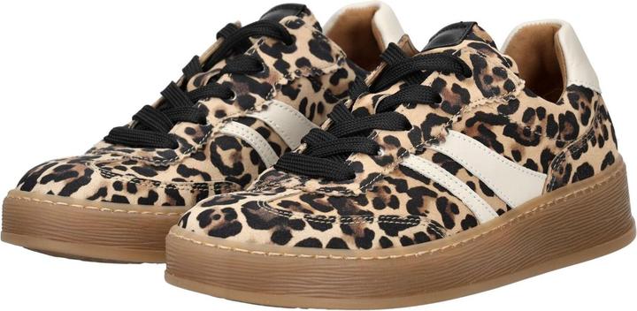 Actual product image Gabor Sneaker (38)