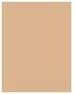 Actual product image NYX Professional Make-Up Bare With Me Concealer Serum (3 Vanilla)