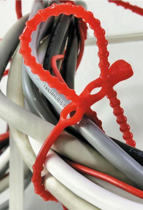 Immagine prodotto SapiSelco Fascetta CLICKTIE Lunghezza 240 mm Larghezza 3,8 mm ( 4000900728 ) (Fascette in plastica, 240 mm, 1 pz.)