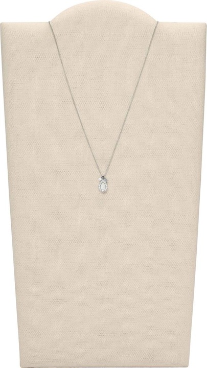 Image du produit Fossil Classics (Acier inoxydable)