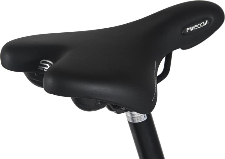 Produktbild Trekkingrad Damen 28" Firenze 100 21 Gänge RH 48 cm (48 cm)