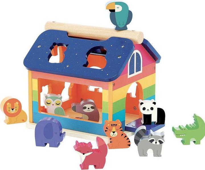 Actual product image Vilac Maison des formes Rainbow - Andy Westface