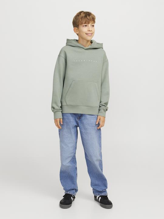 Produktbild Jack & Jones Jjestar Jj Sweat Hood Noos Jnr (128)