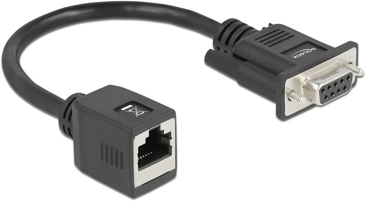 Actual product image Delock Serial RS-232/422/485 Adapter DB9 female to RJ45 female (0.20 m)