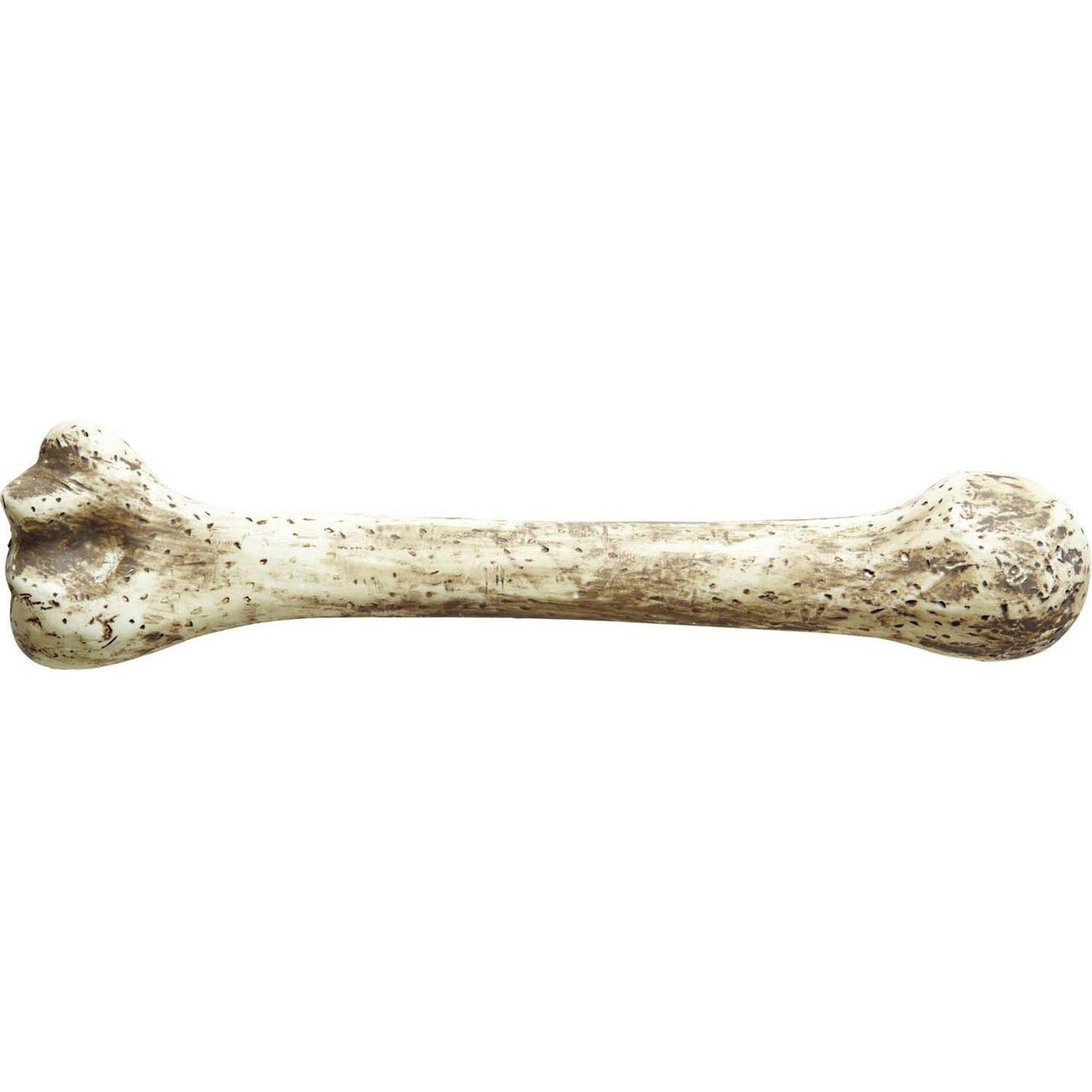 Thumbnail - Widmann Prähistorischer Knochen