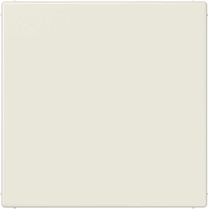 Actual product image JUNG Blanking plate ws