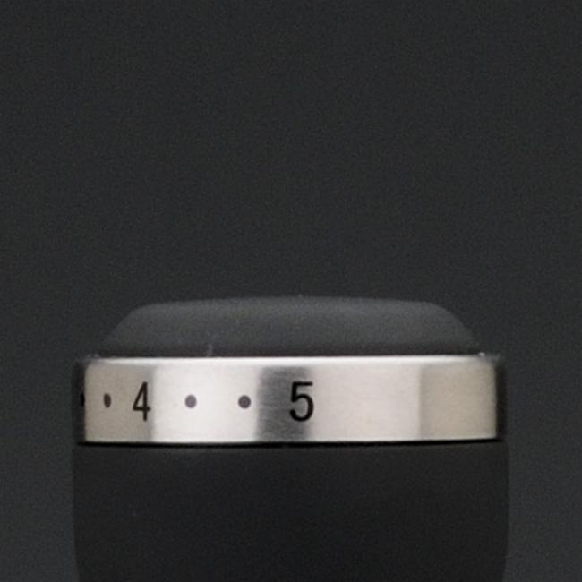 Actual product image Gastroback Design Advanced Pro (CH plug)