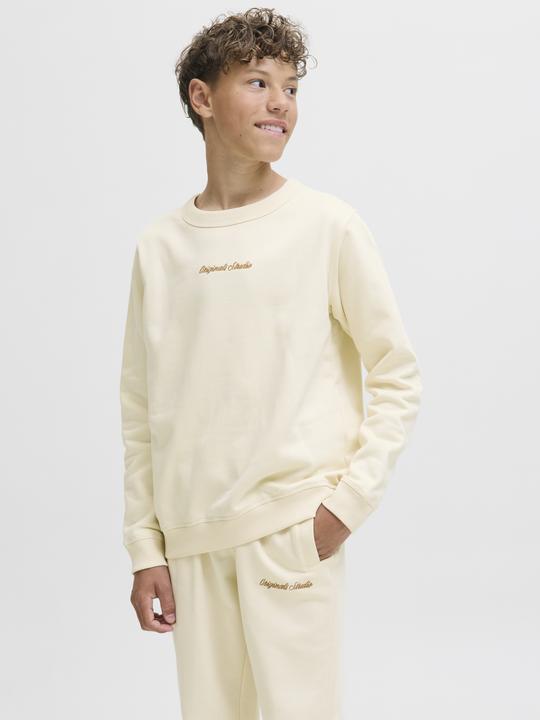 Produktbild Jack & Jones Jornorrebro Emb Sweat Crew Noos Jnr (128)