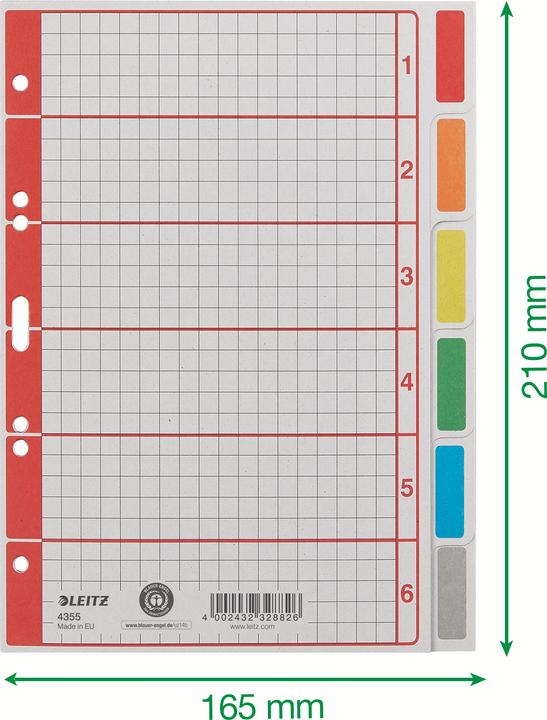 Leitz Register Karton
