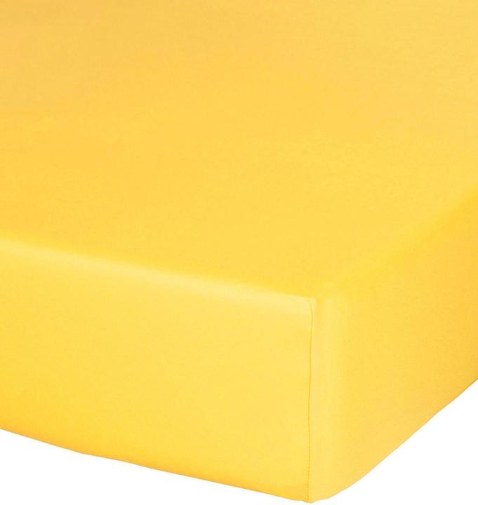 Actual product image Buona Notte Microfibre De Luxe fitted sheet (90-100 x 200-220 cm)