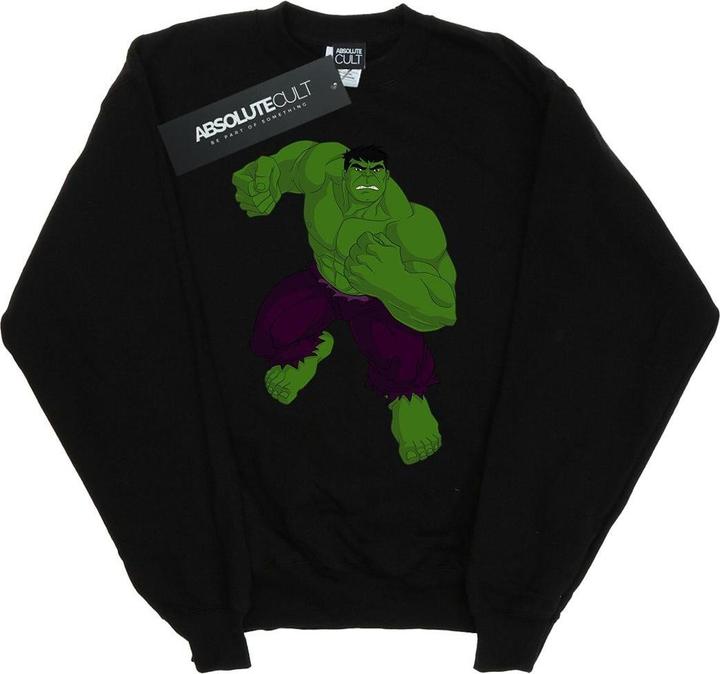 Hulk Pose Sweatshirt (L)