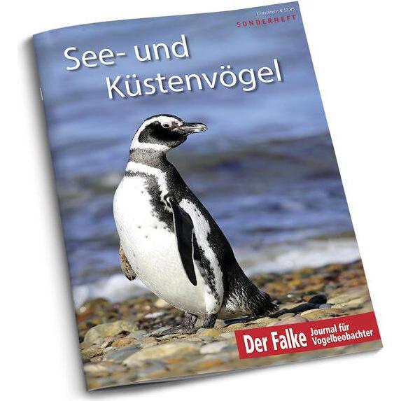 See- und Küstenvögel, Ratgeber von Redaktion Der Falke
