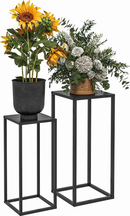 Plant stands + Plant ladders