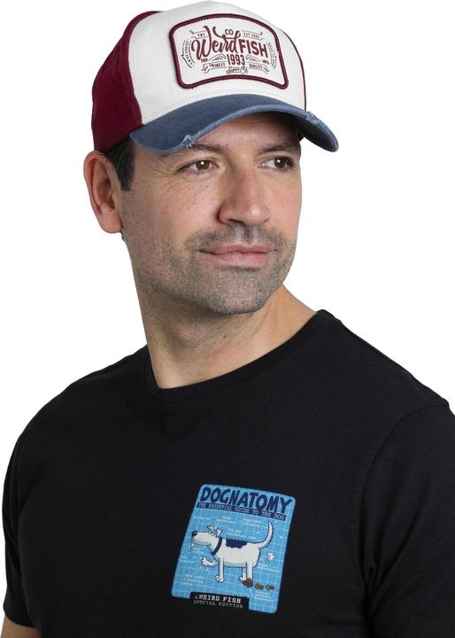 Actual product image Weird Fish Haywood Colour Block Baseball Cap (One size)