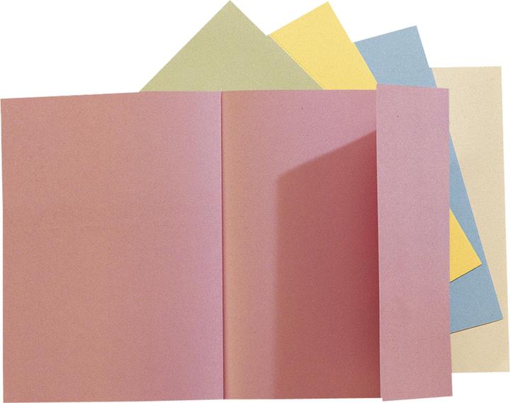 Produktbild Exacompta Sammelmappen - Aktendeckel (A4, 100x)