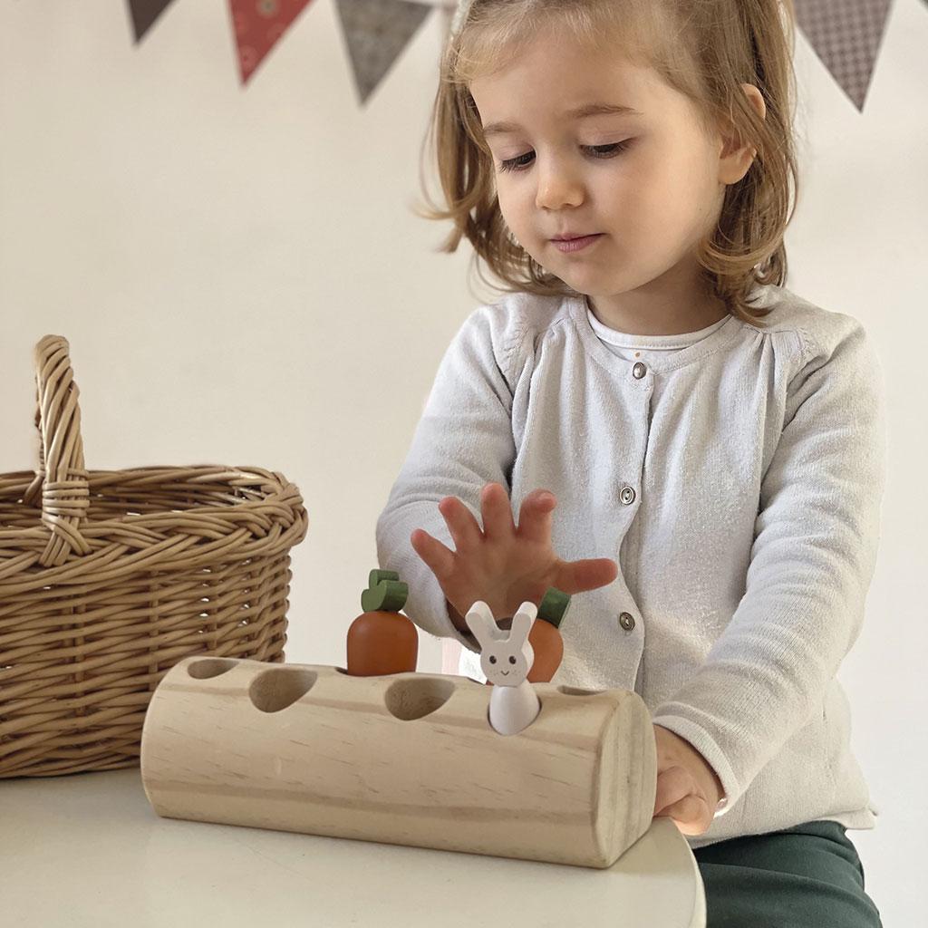 Thumbnail - Egmont Kaninchen und Möhren