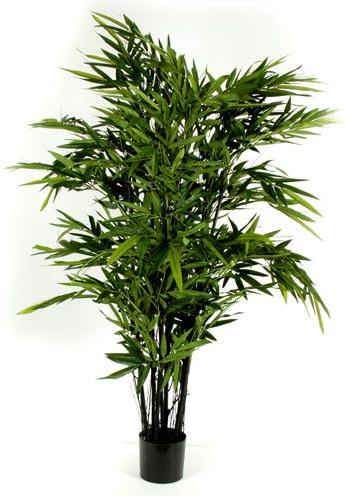 Produktbild Decofinder Bambus mit Schwarzer Stamm (120 cm)