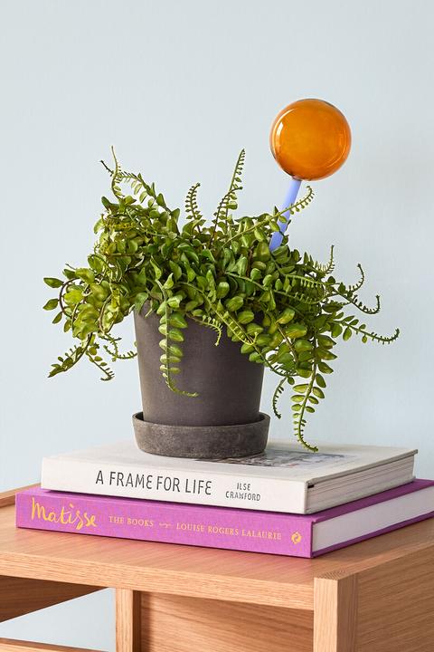 Actual product image Hübsch Pretty - Flora Aqua globe Amber/Blue (Irrigation balls)