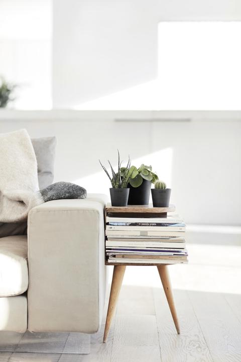 Actual product image Ecopots Amsterdam Mini (8 cm)