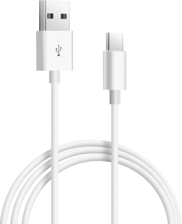 Actual product image Avizar USB / USB-C charging cable (1 m, USB 2.0)