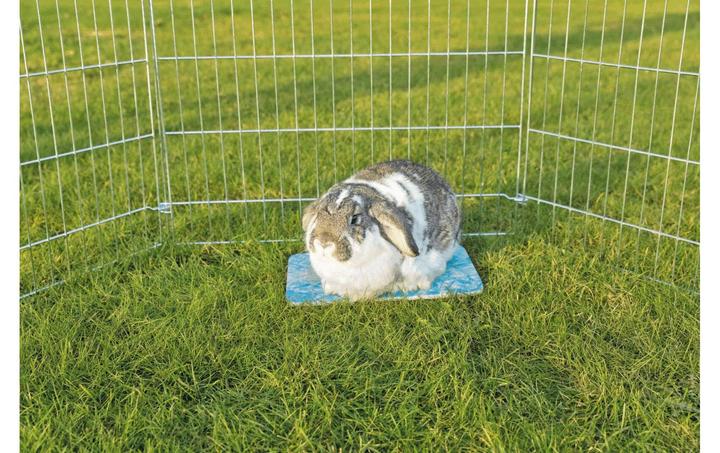 Actual product image Trixie Cooling plate for hamster, 20 x 15 cm