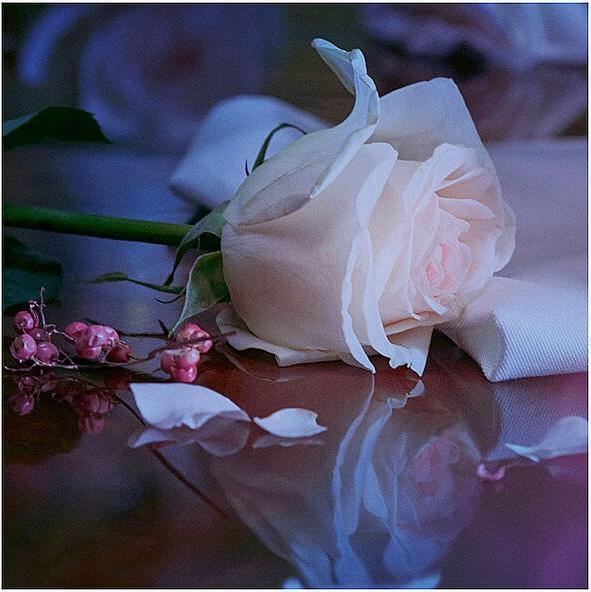 Produktbild Maison Martin Margiela Maison Margiela Replica Up At Dawn Eau De Toilette 100 Ml (Eau de Toilette, 100 ml)