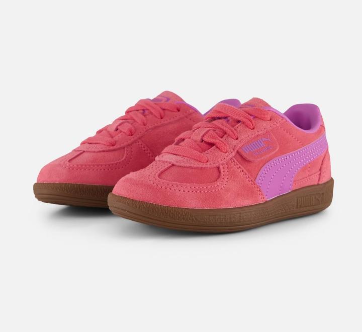 Magico Rosa-Malva Pop