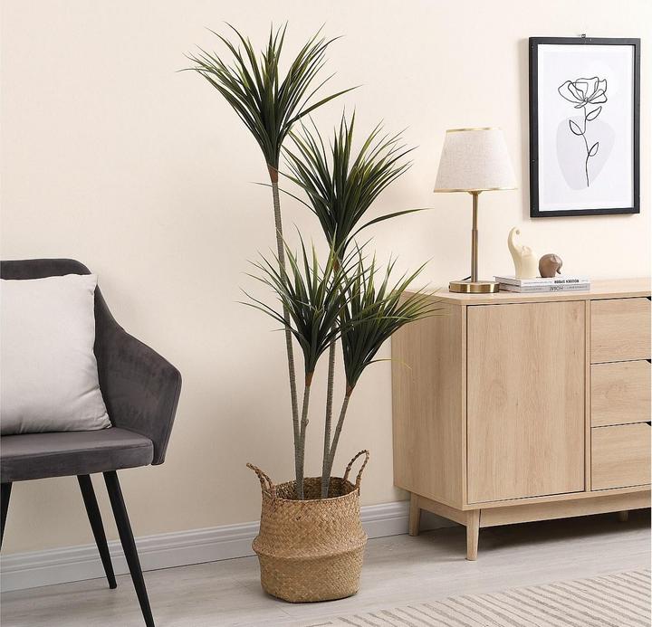 Immagine prodotto Ozaia Lya (150 cm)