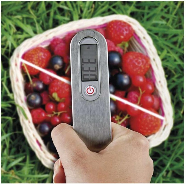 Actual product image Emos Svarstyklės luggage hanger, digital, LCD, max. 50 kg, 3 V, CR2032, PT-506, EV020 - EV020