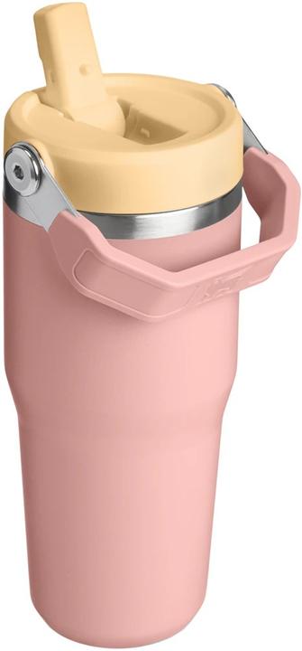 Actual product image Stanley 1913 IceFlow Flip Straw Becher (0.41 l)