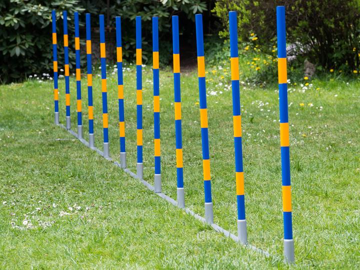 Petcenter Profi Agility Slalom (One Size, Agility)