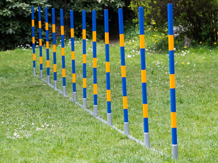 Produktbild Petcenter Profi Agility Slalom (One Size, Agility)