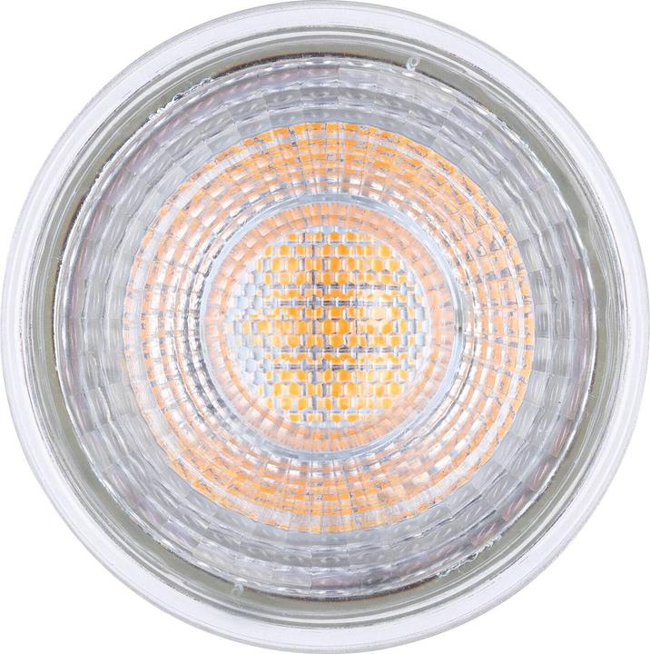 Image du produit Paulmann Réflecteur (GU5.3, 6.50 W, 530 lm, 1 x, F)