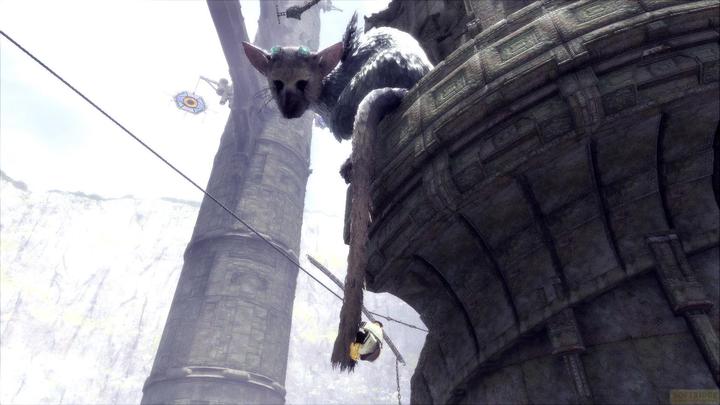 Image du produit Sony The Last Guardian (PS4, Multilingue)