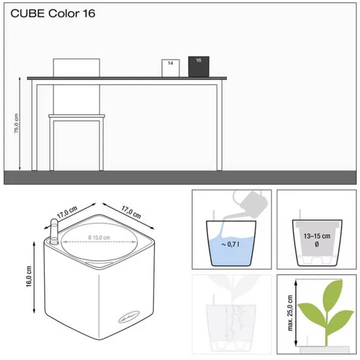 Actual product image Lechuza Cube Color (17 cm)