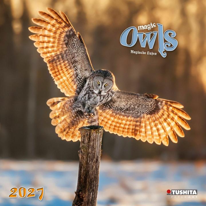 Produktbild Magic Owls 2027