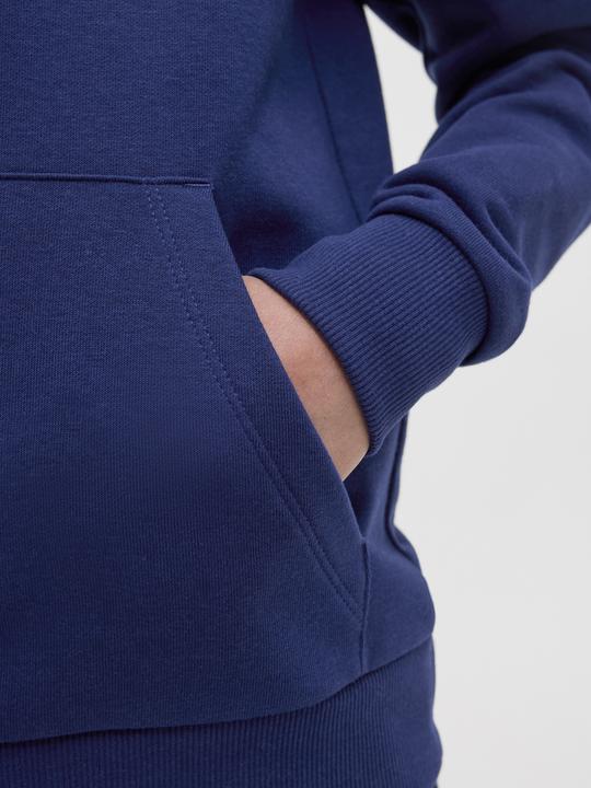 Actual product image Jack & Jones Jorskull Nature Sweat Hood Sn Jnr (152)