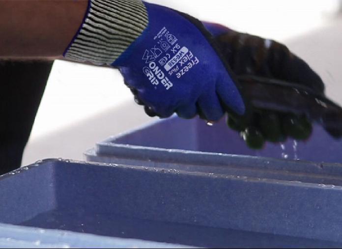 Produktbild Wonder Grip WG-538 (9, L)