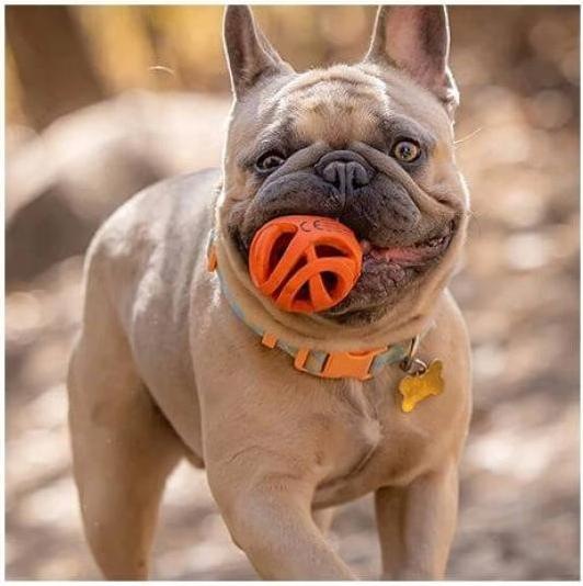 Image du produit Chuckit! CHUCKIT BREATHE RIGHT Balle ramasser Openwork 7 5 cm de diamètre Taille L Orange (Jouet à mâcher pour chien)