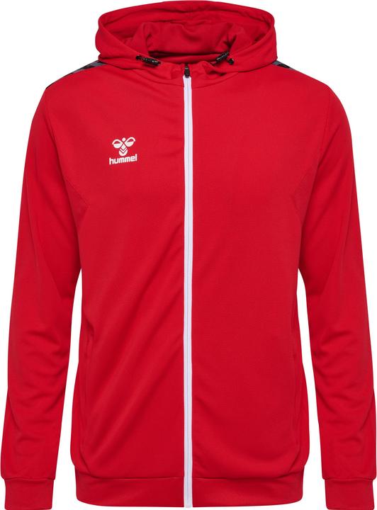 Actual product image hummel Hmlauthentic Pl Zip Hoodie (XL)