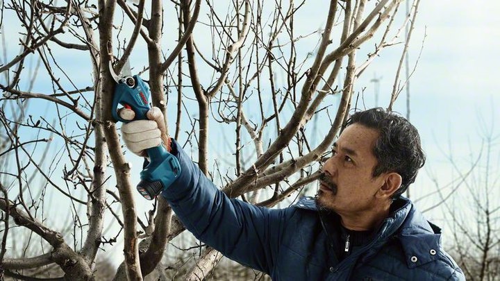 Produktbild Bosch Professional Pro Pruner (Akkuheckenschere)