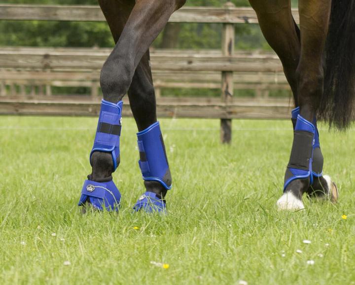 Immagine prodotto Qhp Ghette da gara Q-Cross Technical Hind Leg
