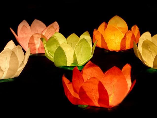Produktbild Partydeco Schwimmende Wasserlaternen Lotusblüten - 360 Stück