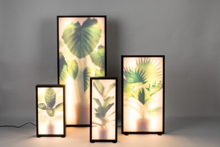 Produktbild Zuiver Grow (LED, 230 V)