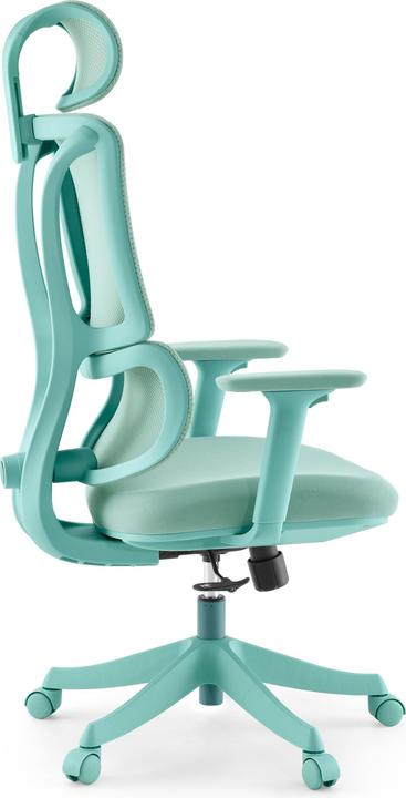 Immagine prodotto MyBuero Ergomy Colore (45 - 55 cm)