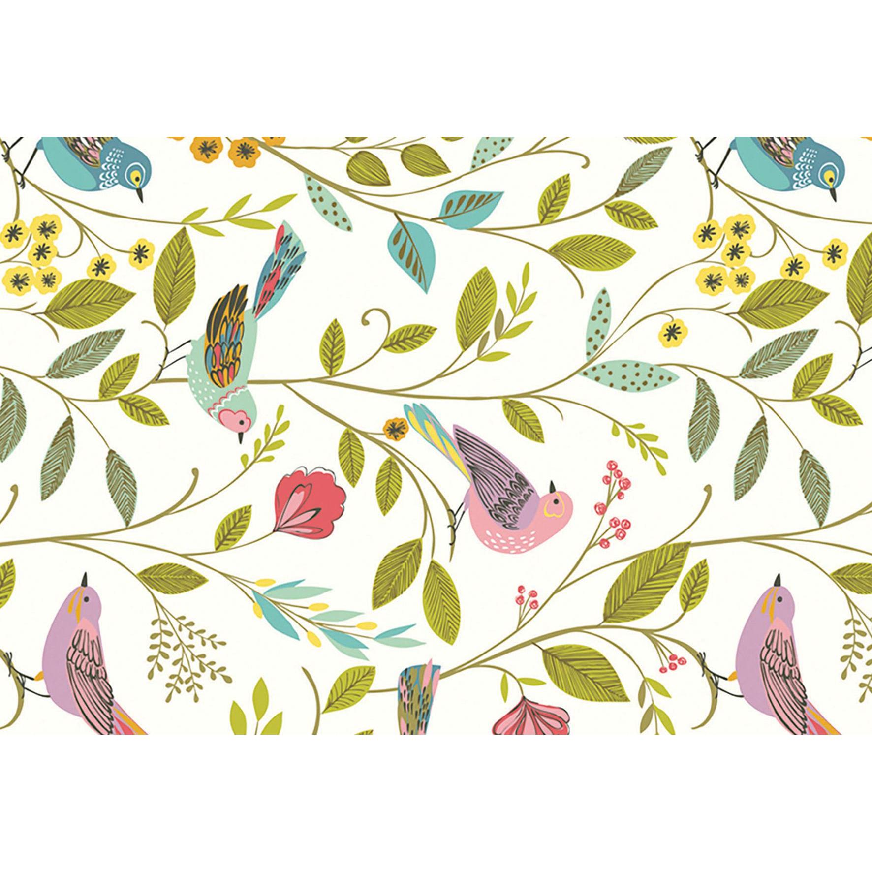 Thumbnail - Stewo, Geschenkverpackung, Geschenkpapier 914014 50cmx250m olive (Geschenkpapier, 1 x)