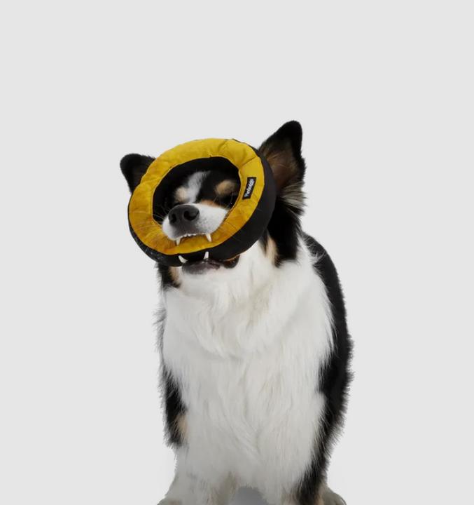 Produktbild Redoggo Donut Aktivspielzeug