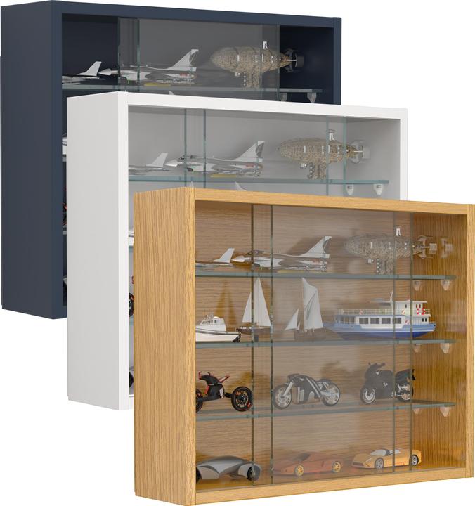 VCM Hängevitrine Wandvitrine Glas Drivalo S